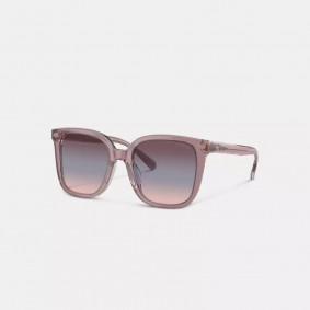 Coach Outlet Beveled Signature Oversized Square Sunglasses Transparent Blush CL918