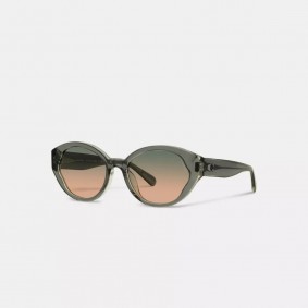 Coach Outlet Beveled Signature Petal Round Sunglasses Transparent Green CH569
