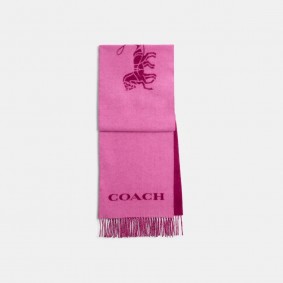 Coach Outlet Horse And Carriage Cashmere Muffler Deep Plum CB694