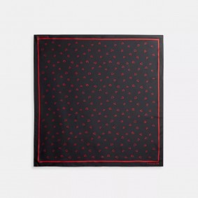 Coach Outlet Hearts Print Silk Square Scarf Red CQ096