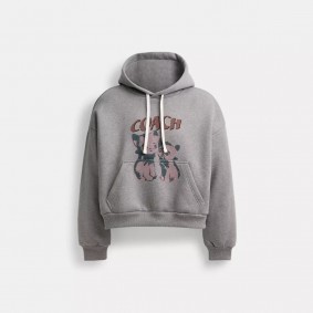 Coach Outlet The Lil Nas X Drop Cats Cropped Pullover Hoodie Heather Grey CQ071