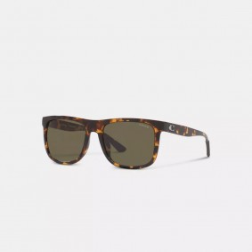 Coach Outlet Beveled Signature Flat Top Square Sunglasses Dark Tortoise CH581