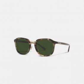 Coach Outlet Rounded Geometric Sunglasses Green Tortoise CH577