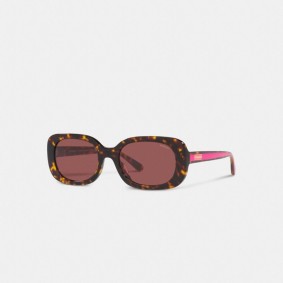 COACH Badge Rounded Square Sunglasses CD471 Tortoise  Pink Stripe