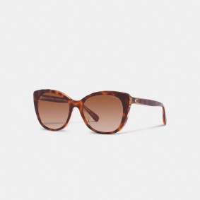 COACH Beveled Signature Oversized Cat Eye Sunglasses CH566 Tortoise Transparent Pink