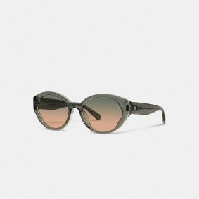 COACH Beveled Signature Petal Round Sunglasses CH569 Transparent Green