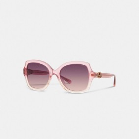 COACH Horse And Carriage Geometric Sunglasses L1147 Transparent Pink Gradient